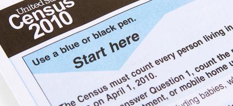 Article31 census